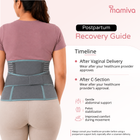 Mamiva 3-in-1 Postpartum Belt – Abdominal, Waist & Pelvic Support | Free Size